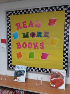 Member Visit: Taylors Falls Elementary School Library - Central ...